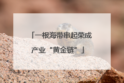 一根海带串起荣成产业“黄金链”