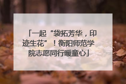 一起“袋拓芳华，印迹生花”！衡阳师范学院志愿同行暖童心