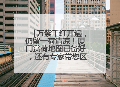 万紫千红开遍，仍留一荷清凉！厦门赏荷地图已备好，还有专家带您区分荷与莲→