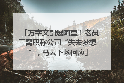 万字文引爆阿里！老员工离职称公司“失去梦想”，马云下场回应