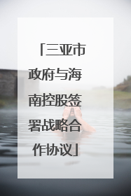 三亚市政府与海南控股签署战略合作协议