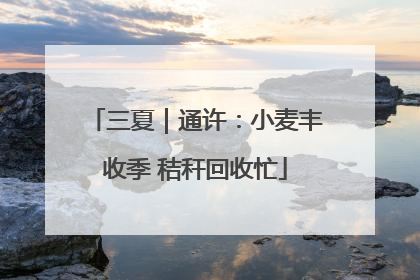三夏｜通许：小麦丰收季 秸秆回收忙