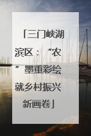 三门峡湖滨区：“农”墨重彩绘就乡村振兴新画卷
