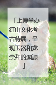 上博举办红山文化考古特展，呈现玉器和龙崇拜的渊源
