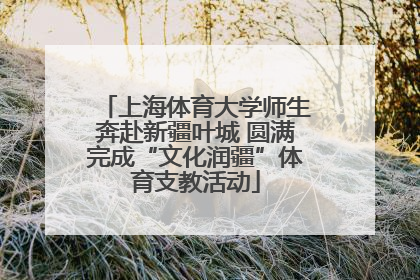 上海体育大学师生奔赴新疆叶城 圆满完成“文化润疆”体育支教活动