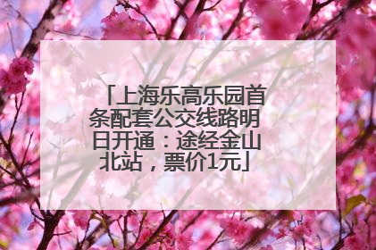 上海乐高乐园首条配套公交线路明日开通：途经金山北站，票价1元