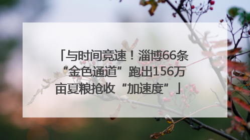 与时间竞速！淄博66条“金色通道”跑出156万亩夏粮抢收“加速度”