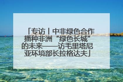 专访丨中非绿色合作播种非洲“绿色长城”的未来——访毛里塔尼亚环境部长拉格达夫
