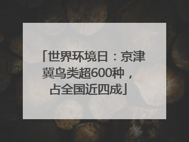 世界环境日：京津冀鸟类超600种，占全国近四成