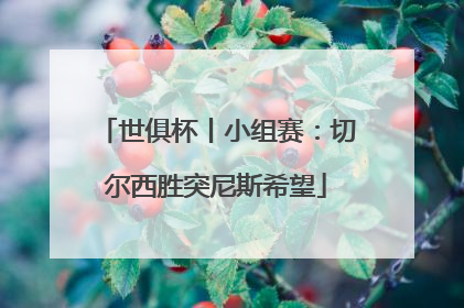 世俱杯丨小组赛：切尔西胜突尼斯希望
