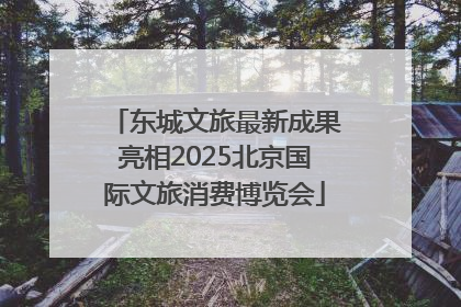 东城文旅最新成果亮相2025北京国际文旅消费博览会