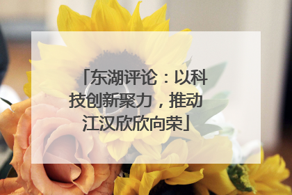 东湖评论：以科技创新聚力，推动江汉欣欣向荣