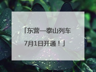 东营—泰山列车7月1日开通！