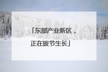 东部产业新区，正在拔节生长