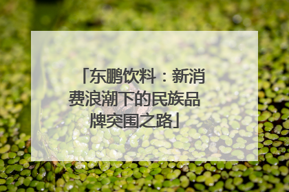 东鹏饮料：新消费浪潮下的民族品牌突围之路