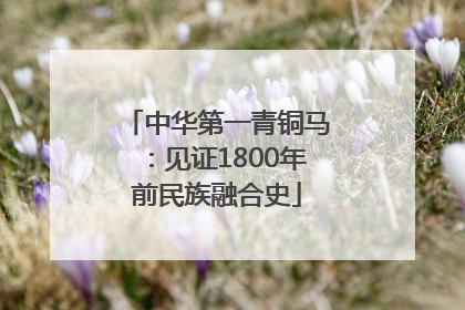 中华第一青铜马：见证1800年前民族融合史