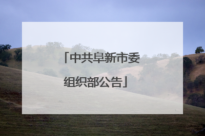 中共阜新市委组织部公告