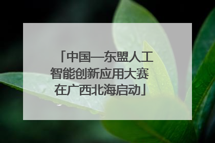 中国—东盟人工智能创新应用大赛在广西北海启动