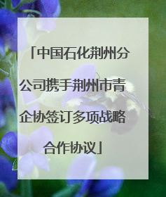 中国石化荆州分公司携手荆州市青企协签订多项战略合作协议