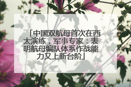 中国双航母首次在西太演练，军事专家：表明航母编队体系作战能力又上新台阶