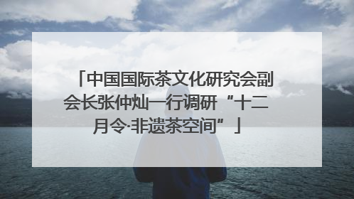 中国国际茶文化研究会副会长张仲灿一行调研“十二月令·非遗茶空间”
