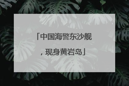 中国海警东沙舰，现身黄岩岛