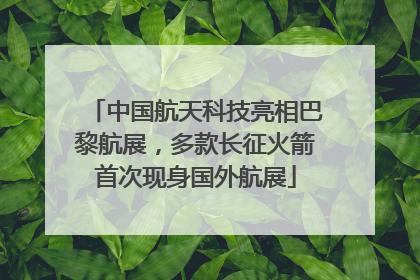 中国航天科技亮相巴黎航展，多款长征火箭首次现身国外航展