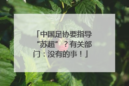 中国足协要指导“苏超”？有关部门：没有的事！
