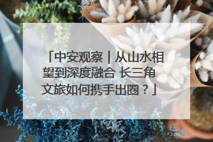中安观察｜从山水相望到深度融合 长三角文旅如何携手出圈？