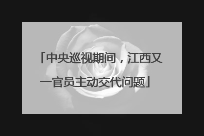 中央巡视期间，江西又一官员主动交代问题