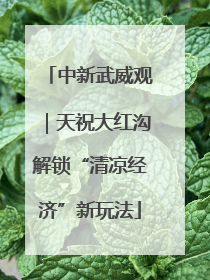 中新武威观｜天祝大红沟解锁“清凉经济”新玩法