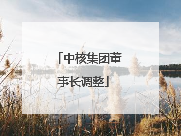 中核集团董事长调整