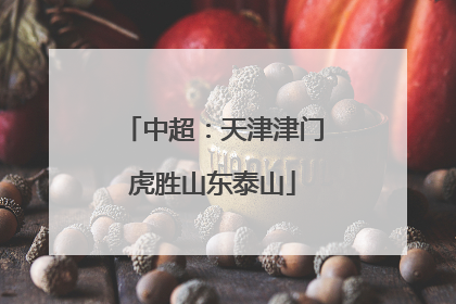 中超：天津津门虎胜山东泰山