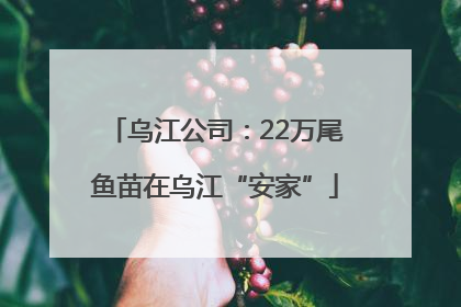 乌江公司：22万尾鱼苗在乌江“安家”