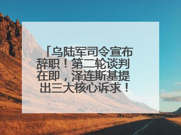乌陆军司令宣布辞职！第二轮谈判在即，泽连斯基提出三大核心诉求！乌方透露摧毁41架俄战略轰炸机