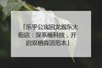 乐乎公寓回龙观东大街店：深系暖科技，开启双栖森活范本