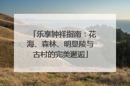 乐享钟祥指南：花海、森林、明显陵与古村的完美邂逅