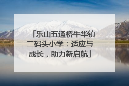 乐山五通桥牛华镇二码头小学：适应与成长，助力新启航