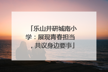 乐山井研城南小学：展现青春担当，共议身边要事