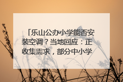 乐山公办小学能否安装空调？当地回应：正收集需求，部分中小学已启动安装｜云求助