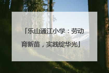 乐山通江小学：劳动育新苗，实践绽华光