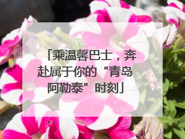 乘温馨巴士，奔赴属于你的“青岛阿勒泰”时刻