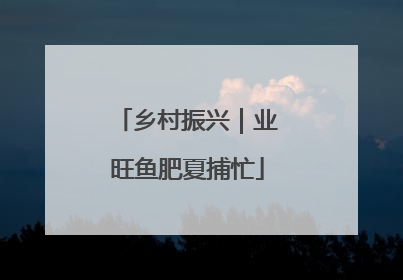 乡村振兴｜业旺鱼肥夏捕忙