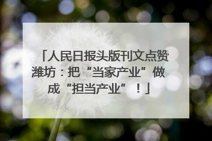 人民日报头版刊文点赞潍坊：把“当家产业”做成“担当产业”！
