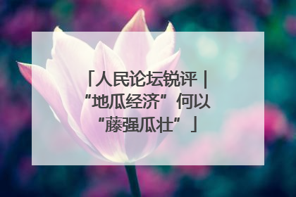 人民论坛锐评｜“地瓜经济”何以“藤强瓜壮”