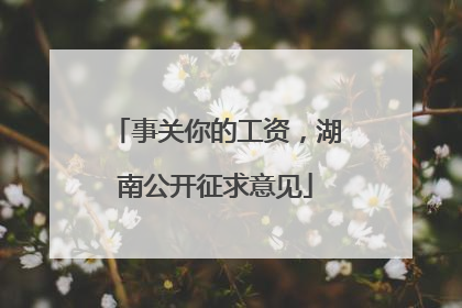 事关你的工资，湖南公开征求意见
