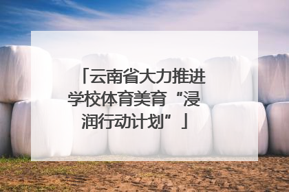 云南省大力推进学校体育美育“浸润行动计划”