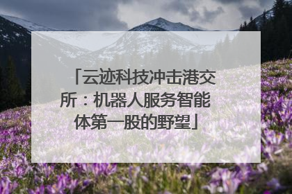云迹科技冲击港交所：机器人服务智能体第一股的野望