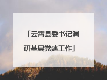 云霄县委书记调研基层党建工作