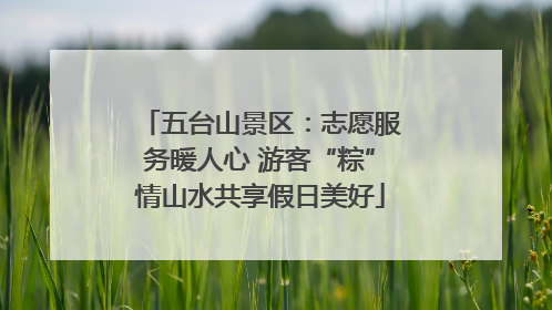 五台山景区：志愿服务暖人心 游客“粽”情山水共享假日美好